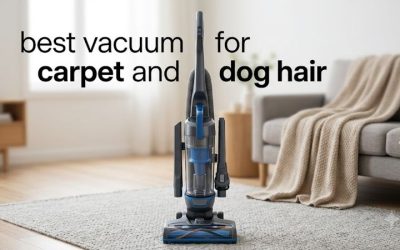 Best Vacuum for Carpet and Dog Hair: 6 Deep-Clean Picks