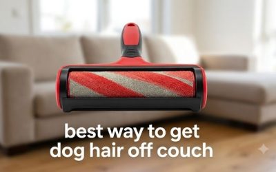Best Way to Get Dog Hair Off Couch: 6 Tools That Really Work