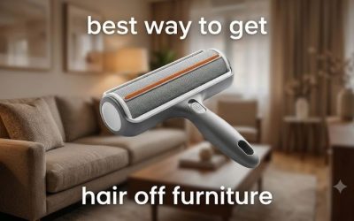 Best Way to Get Dog Hair Off Furniture: 6 Tools Compared