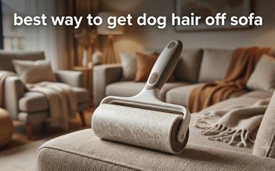 Best Way to Get Dog Hair Off Sofa: 6 Proven Fixes Ranked