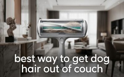 Best Way to Get Dog Hair Out of Couch: 6 Deep Clean Picks