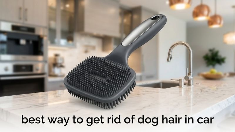 How to Choose the Best Way to Get Rid of Dog Hair in Car Interiors