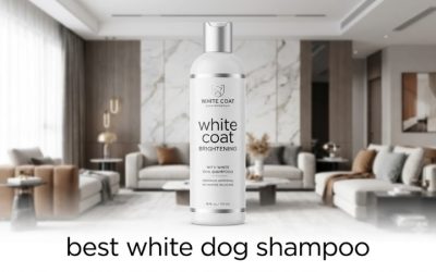 Best White Dog Shampoo for Everyday Coat Care and Shine