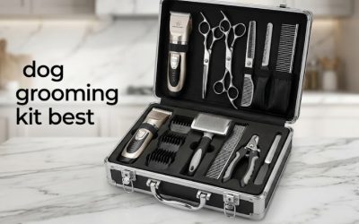 Dog Grooming Kit Best Picks for Complete At-Home Setups