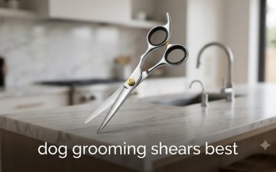 Dog Grooming Shears Best Picks for Safe At-Home Trimming