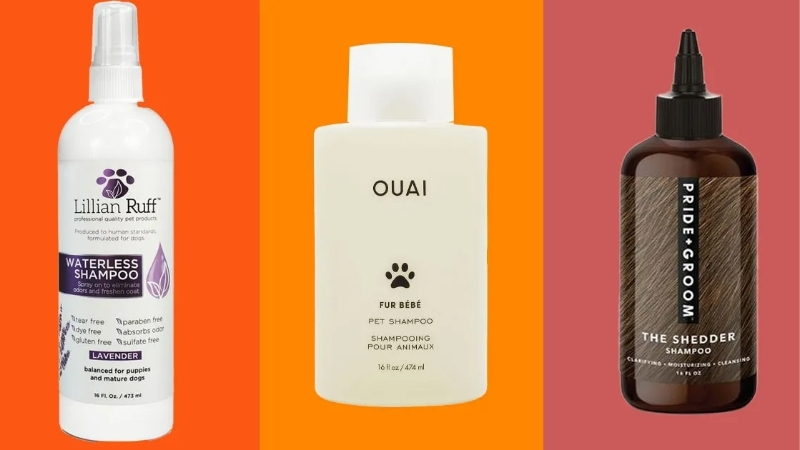 How to Choose the Dog Shampoo Best Suited to Your Dog