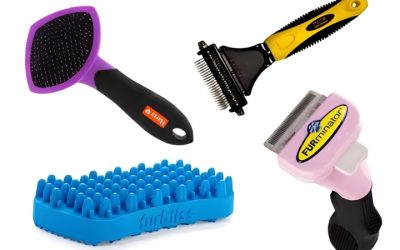 Cat Brush Best Picks for Shedding, Mats and Nervous Cats