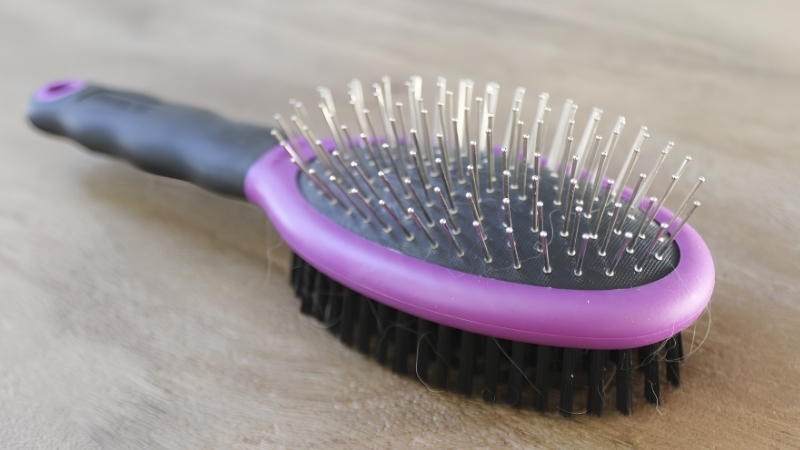 How to Decide Which Dog Brush Best Fits Your Coat Type