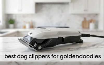 Best Dog Clippers for Goldendoodles: 6 Top Groomer Picks