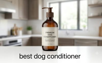 Best Dog Conditioner Picks for Every Common Coat Problem