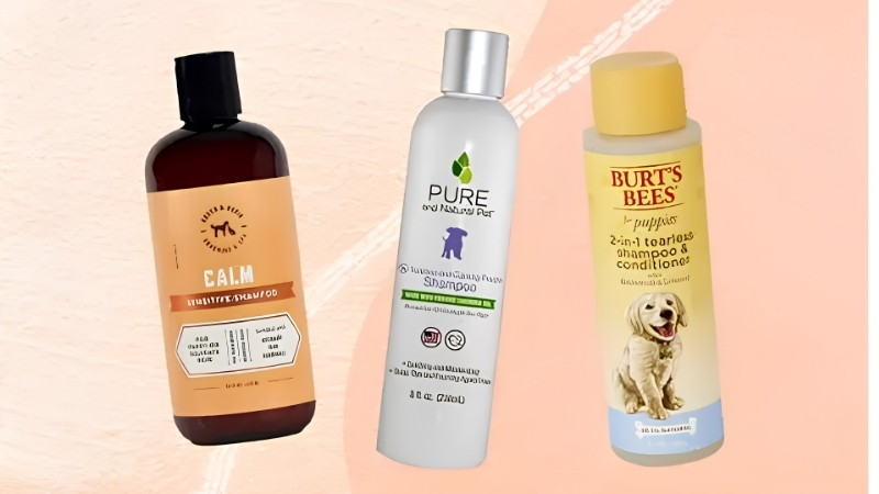 Scent Versus Skin
