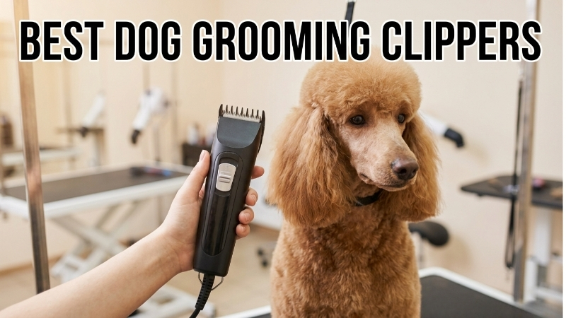 Trimmers Versus Clippers
