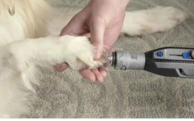 Best Rated Dog Nail Grinder Picks That Won’t Quit Early