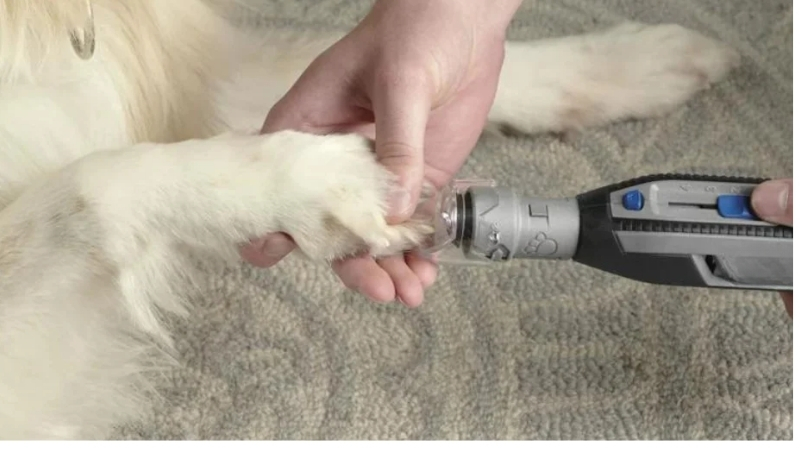What Actually Determines a Nail Grinder's Long-Term Reliability