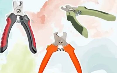 Best Rated Dog Nail Clippers That Actually Last for Years
