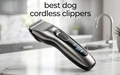 What Dog Nail Clippers Are the Best? A Type-by-Type Guide