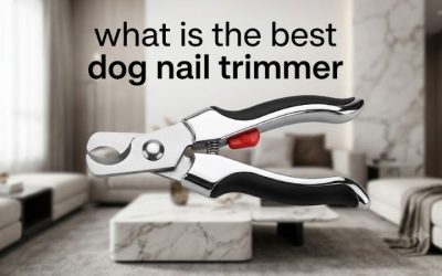 What Is the Best Dog Nail Trimmer? A Guide to Choosing Well