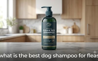 What Is the Best Dog Shampoo for Fleas and How to Use It