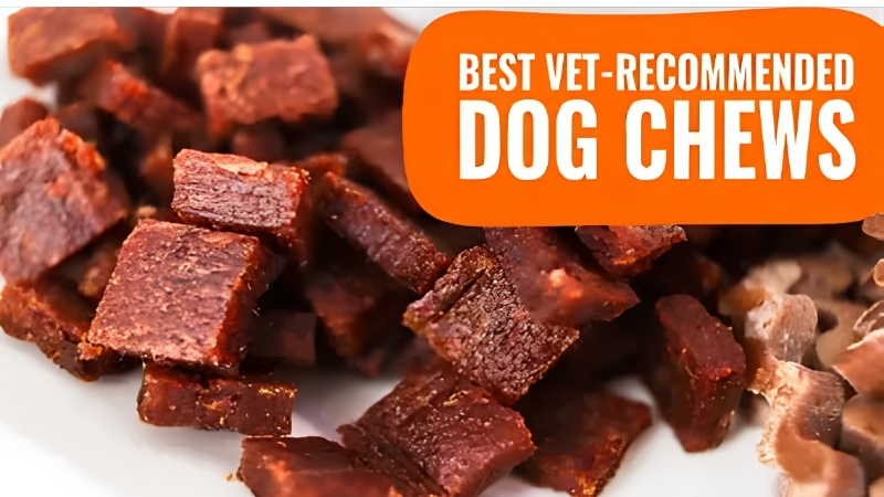 What Makes Something One of the Best Rated Dog Dental Chews