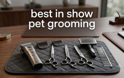 Best in Show Pet Grooming: 6 Tools the Ring Winners Use