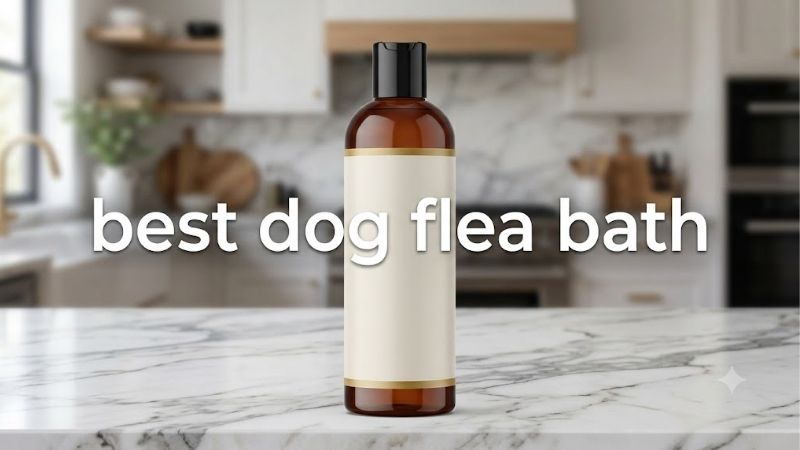 What the Best Dog Flea Bath Can and Cannot Do