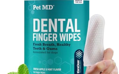 Best Dog Dental Wipes for Fresher Breath and Healthier Gums