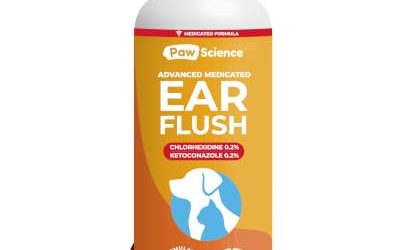Best Dog Ear Cleaners for Yeast Infections
