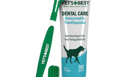 Best Dog Toothbrushes for Effective Plaque Removal