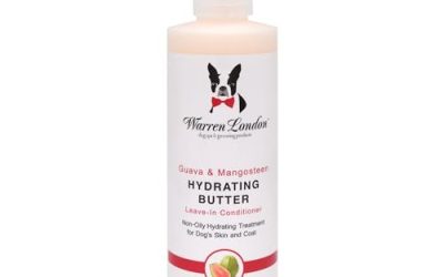 Best Leave-In Conditioners for Dogs with Dry Skin