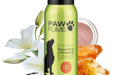 Best Odor Control Dog Sprays for Long-Lasting Freshness
