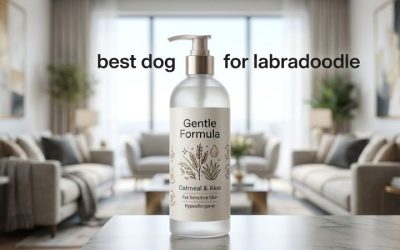 Best Dog Shampoo for Labradoodle Bath Day: Six Top Picks