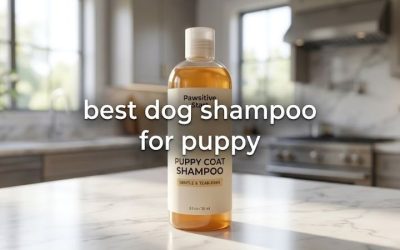 Best Dog Shampoo for Puppy Kits: Six First Buys Compared