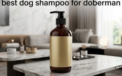 Best Dog Shampoo for Doberman Owners: Six Routine Picks