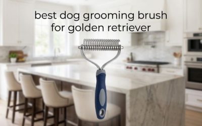 Best Dog Grooming Brush for Golden Retriever: 6 Top Picks