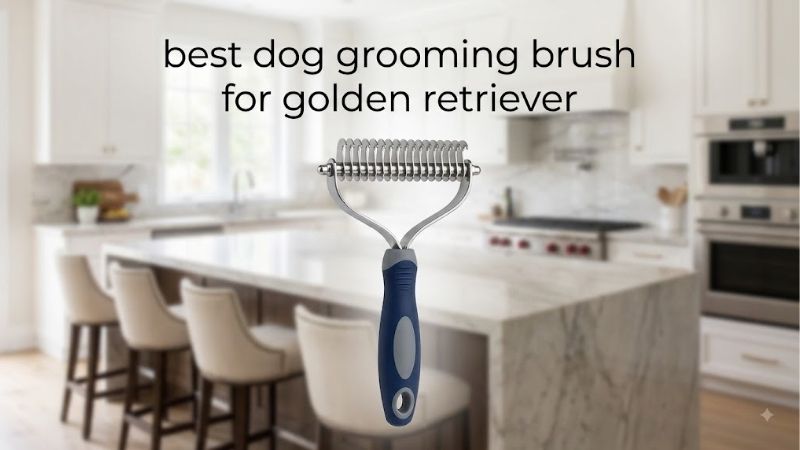 Building the Best Dog Grooming Brush for Golden Retriever Kit