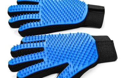 Choosing the Right Dog Grooming Glove for Your Breed