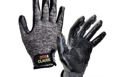 De-shedding Gloves vs. Brushes: Which is More Effective for Your Pet?