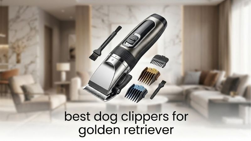 How a Beginner Should Choose the Best Dog Clippers for Golden Retriever Work