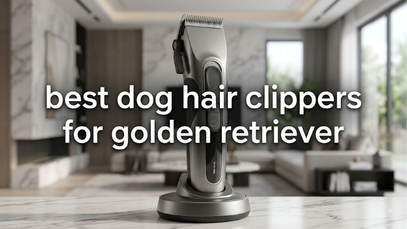 How Coat Structure Shapes the Best Dog Hair Clippers for Golden Retriever Work