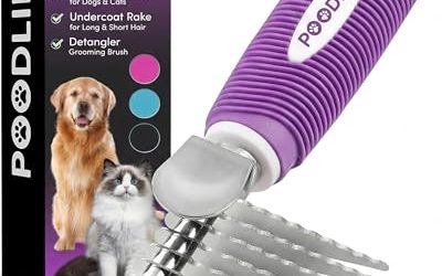 How to Brush Your Cat’s Fur to Prevent Matting