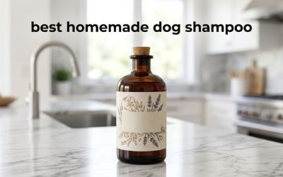 Best Homemade Dog Shampoo: Six Ingredients That Work Well