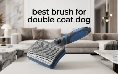 Best Brush for Double Coat Dog: Deshed & Detangle Picks