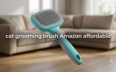 Cat Grooming Brush Amazon Affordable: 6 Best Budget Picks