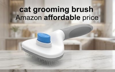 Cat Grooming Brush Amazon Affordable Price: 6 Budget Picks
