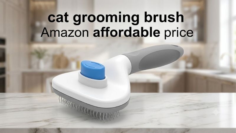 How to Choose a Cat Grooming Brush at an Affordable Price