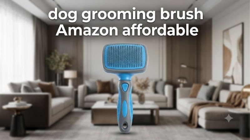 How to Choose a Dog Grooming Brush Amazon Affordable Buyers Trust