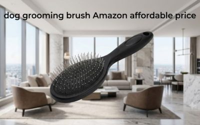 Dog Grooming Brush Amazon Affordable Price Picks to Love
