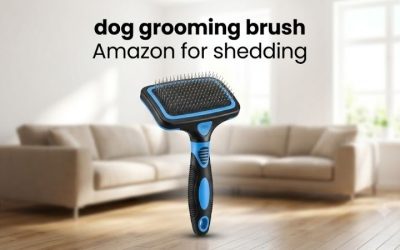 Dog Grooming Brush Amazon for Shedding Owners Truly Swear By