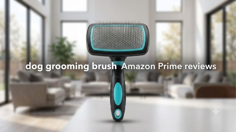 How to Choose a Dog Grooming Brush Amazon Prime Reviews Praise