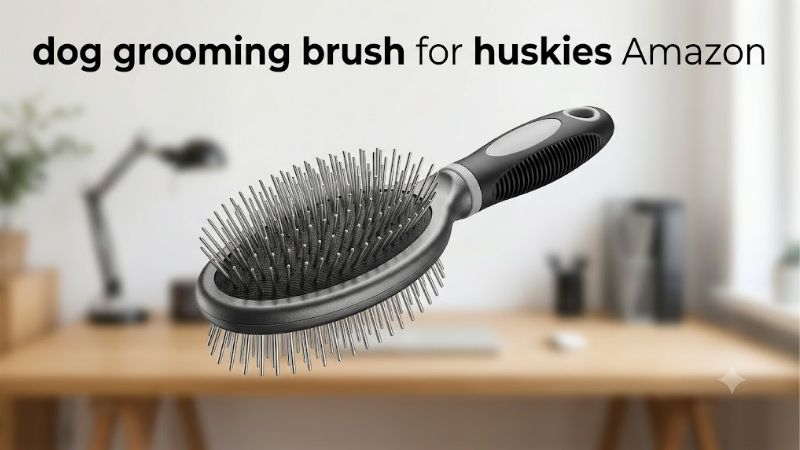 How to Choose a Dog Grooming Brush for Huskies Amazon Sells
